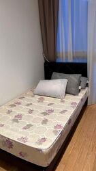 Cairnhill Nine (D9), Apartment #612741661